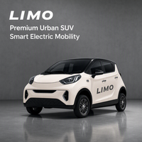 Voiture électrique à 4 roues fabriquée en Chine, intérieur luxueux, véhicule à énergie nouvelle, véhicule électrique économique, petite voiture électrique