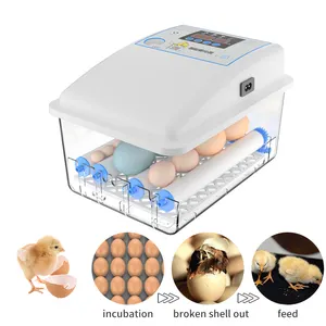 Weiqian neuer Typ Mini-Eierb rutsch rank zum Verkauf, automatischer Mini-Hühnerei-Inkubator