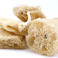 100% véritable bain égyptien douche exfoliant corps luffa éponge avec lot de 3