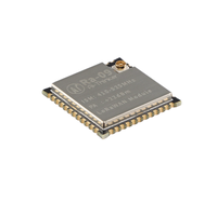 Module à spectre étalé sans fil Ra-09 LoRa WAN avec puce STM32WLE5CCU6 Gamme de fréquences 410-525 MHz