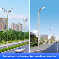 Lampadaires de style chinois IP65 LED, lampes extérieures à haut mât 6/8/10/12m, lampes carrées paysagères Magnolia à neuf flammes