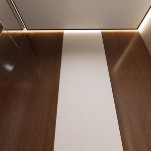 Ascenseur domestique haut de gamme, sûr, stable, silencieux et à traction, pour villas de luxe et maisons individuelles. - Product Image 3