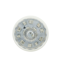 Aglare E14 60mm lampe Led de divertissement, lampe de parc de divertissement E14 Ac24v lampe de féerique