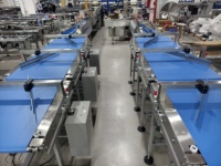 Ligne d'emballage horizontale automatique pour biscuits, gâteaux et craquelins avec tri, alimentation et conditionnement