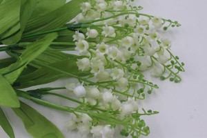 Flor Artificial de Lirio YL para Decoración de Bodas, Centro de Mesa para Sala de Estar, Ramo de Novia, Flor de Plástico, <span class=keywords><strong>Campanula</strong></span> de 7 Ramas - Product Image 5