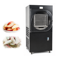 Machine de lyophilisation alimentaire industrielle de 40 kg, équipement de séchage par congélation commercial pour fruits, légumes, herbes et collations