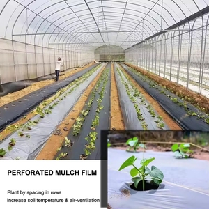 <span class=keywords><strong>Film</strong></span> de paillage <span class=keywords><strong>noir</strong></span> et argenté, couverture de sol agricole en plastique, couche de paillage <span class=keywords><strong>pour</strong></span> la <span class=keywords><strong>plantation</strong></span> - Product Image 3
