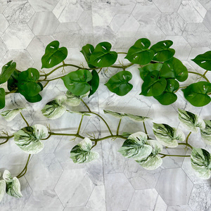 Plante artificielle Meiyu Craft Flowers, vigne de 1,8 m, feuille miroir, Pothos, pastèque, taro, décoration intérieure, accessoires de photographie - Product Image 2