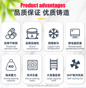 Congélateur mobile à blast Deep Machine <span class=keywords><strong>Minus</strong></span> 40 Abbattitore - Product Image 5