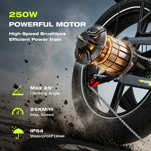 Vélo Électrique Pliable KOOLUX X12 250W 48V 13Ah 120KM avec Pneus Larges, Homologué CE pour la Route, pour Adultes et Livraison (Entrepôt PL) - Product Image 4