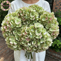 Bunga Dekorasi Pernikahan Grosir Kedatangan Baru Kepala Besar 20cm Hydrangea Sutra Hijau Buatan untuk Dekorasi Panggung & Pesta