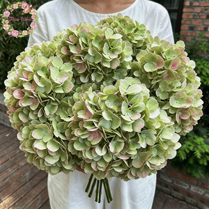 Fleurs décoratives de mariage en gros, nouvelle arrivée, grande tête de 20 cm, hydrangea artificiel en soie verte pour la décoration de scène et de fête - Product Image 1