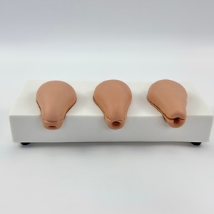 Modèle d'utérus avancé pour simulation d'avortement <span class=keywords><strong>artificiel</strong></span>, trois simulateurs utérins anatomiques, outil de formation en obstétrique et gynécologie - Product Image 4