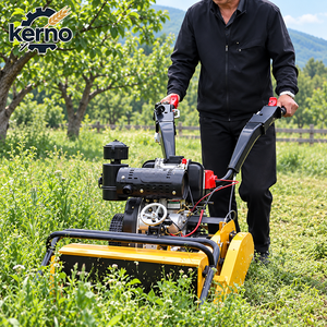 Tondeuse à gazon diesel Kerno 7HP 9HP, à pousser à la main, avec broyeur à fléaux, pour le désherbage et le broyage agricoles - Product Image 1