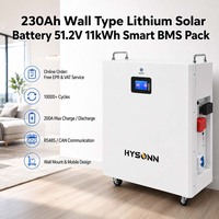 Batterie solaire au lithium Hysonn 230Ah de type mural 51,2V 11kWh avec BMS intelligent pour les installateurs de systèmes photovoltaïques et la fourniture de stock à l'étranger