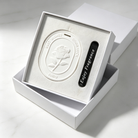 Diffuseur de parfum en céramique Finru pour voiture, pierre aromatique suspendue, huile essentielle parfumée, décoration d'intérieur, désodorisant, coffret cadeau, vente en gros
