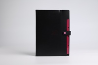 Carpeta de Documentos Multicolor, Carpeta de Archivo A4 con Cubierta Rígida Esmerilada de PP, Carpeta de Archivo Económica para Suministros de Oficina y Escolares