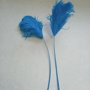 <span class=keywords><strong>Punta</strong></span> di piume di struzzo 60-65cm all'ingrosso per zaini di carnevale Festival di Samba Costume decorazioni modisteria - Product Image 5