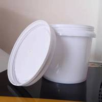 1L 3L 5L 8L 10L 12L 20L 25L 30L seau/tambour/seau/récipient en plastique de haute qualité seaux de peinture