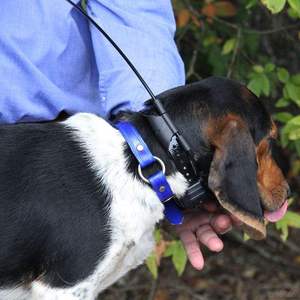 เสาอากาศ VHF ระยะไกล 58 ซม. เสาอากาศ GPS มาตรฐานสำหรับปลอกคอสุนัขติดตามตำแหน่ง รุ่น T5/TT15 - Product Image 2