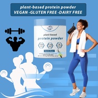 Poudre de protéines végétales OEM ODM, soutient l'endurance, améliore la performance physique, améliore le niveau d'énergie, végétalien, sans OGM, sans gluten
