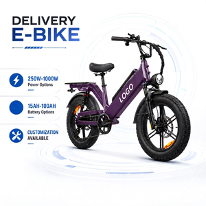 Bicicleta Eléctrica Personalizada OEM con Batería de 48V 55Ah, Alcance de 240km, 750W, 80Nm de Torque, Neumáticos Anchos, para Entregas de Larga Distancia - Product Image 1