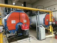 Chaudière à vapeur industrielle chinoise Caldera De Vapor 10 20 30 80 100 150 300 400 800 1000 Bhp Hp