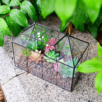 Terrarium en verre clair, grande table, Terrarium plante succulente, verre transparent, livraison directe