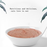 Bâtonnets nutritifs pour chats, nourriture humide pour chats, saveur poisson et poulet, ventes chaudes, bâtonnets nutritionnels supplémentaires