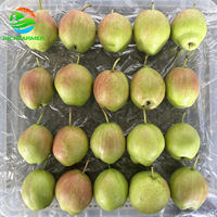 Poire fraîche Xinli n°7, origine Hebei, poire de qualité supérieure, goût sucré, juteux et croquant, panier d'exportation de 9 kg pour le marché égyptien, tunisien et nord-africain