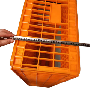 ZZ, <span class=keywords><strong>venta</strong></span> al por mayor, jaula <span class=keywords><strong>de</strong></span> transporte <span class=keywords><strong>de</strong></span> pollos para aves <span class=keywords><strong>de</strong></span> corral en <span class=keywords><strong>venta</strong></span> - Product Image 6