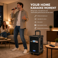 Speaker Karaoke Party HANSUO HS-TS08Q3 40W 8 Inch dengan Dua Mikrofon Nirkabel, USB, FM, dan Gagang yang Dapat Ditarik