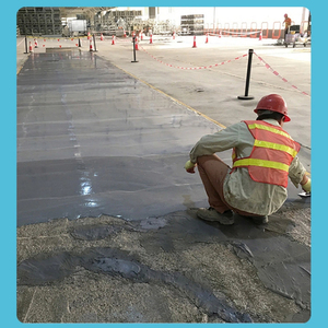 Ciment haute résistance 52.5R, imperméable, à prise rapide, anti-fissuration, poudre de coulis pour le cimentage et la réparation du béton - Product Image 5