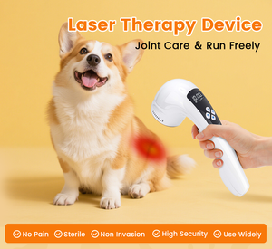 Mesin Terapi Laser Dingin Klinik Hewan - Layar Sentuh yang Dapat Disesuaikan, Pereda Nyeri Hewan Peliharaan, Garansi Seumur Hidup - Product Image 3