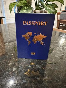 Çocuklar İçin Özel Pasaport Defteri, Rol Yapma Oyunları, Parti Malzemeleri, Okul Projeleri, Seyahat Temalı Etkinlikler, Boş Pasaport Defterleri - Product Image 6