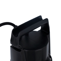 Corps en plastique 1HP Mini pompe à eau submersible de jardin avec interrupteur à flotteur