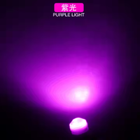 DC 12V T10 W5W 3D LED lentille de tache en céramique LED 3SMD 194 168 Wedge côté plaque d'immatriculation lampe blanc rouge bleu jaune vert rose