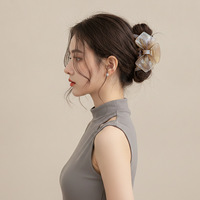 Grande pince à cheveux en acétate, pince requin dégradée ombrée pour femme, grande pince élégante pour chignon ou queue de cheval, accessoires capillaires tendance
