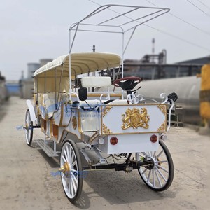 2025 Carrosse Électrique Royal de Luxe à 4 Roues, Alimenté par Batterie, pour Mariages et Visites Touristiques, Transport Spécial à Vendre - Product Image 4