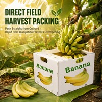 Boîte à bananes en plastique ondulé PP personnalisée en usine, caisse d'expédition réutilisable pour produits frais, emballage ventilé pour fruits