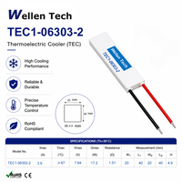Plaques Peltier à une seule étape TEC1-06303 20x40x4.9 mm 17.2 W pour système de refroidissement d'échantillons d'ARN