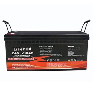 Batería de Iones de Litio de Ciclo Profundo con BMS 300Ah 200Ah 100Ah 24v Lifepo4 para Paneles Solares - Product Image 4