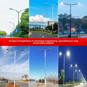 <span class=keywords><strong>Farolas</strong></span> LED municipales para revitalización rural, postes de iluminación para exteriores, proyecto de alumbrado vial impermeable, farola de doble brazo - Product Image 3