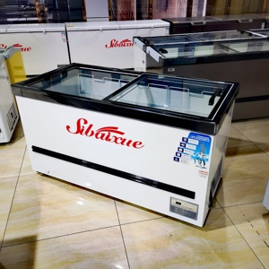 2m Cheap Deep Freezers 2 Doors Direct Cooling Manual Defrost <strong>Gas</strong> <strong>Fridges</strong> and Deep <strong>Fridge</strong> Freezer - Product Image 5