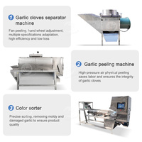 Orme Automatisch Knoflookpoederproces Plant Knoflookschil Procesmachine Knoflookpoeder Productielijn