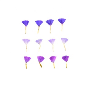 20 pz/pacco dimenticami non/Statice Fortunei/lavanda di mare decorazione artistica per unghie Decal Mini <span class=keywords><strong>fiori</strong></span> naturali pressati - Product Image 5