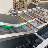 Industriële wasmachine voor groenten, fruit en noten met motor & pomp, hoge efficiëntie bubbelwasser
