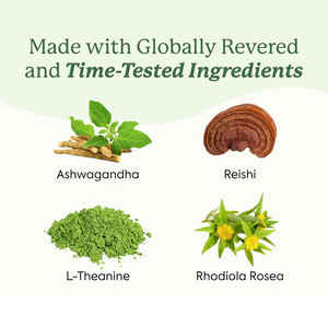 Gomas de Cogumelo OEM com Ashwagandha, Reishi, L-Teanina e Rhodiola Rosea para Suporte ao Bem-Estar, Calma, Humor, Relaxamento e Equilíbrio - Product Image 4