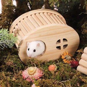 Abri pour petits animaux en bois artisanal avec deux entrées et une finition lisse, idéal pour l'enrichissement des rongeurs - Product Image 1