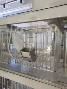 Gabbia per allevamento di conigli in acciaio inossidabile per alloggiamento di animali da laboratorio-attrezzature per strutture di ricerca durevoli e igieniche - Product Image 3